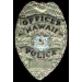 HAWAII STATE POLICE OFFICER BADGE PIN